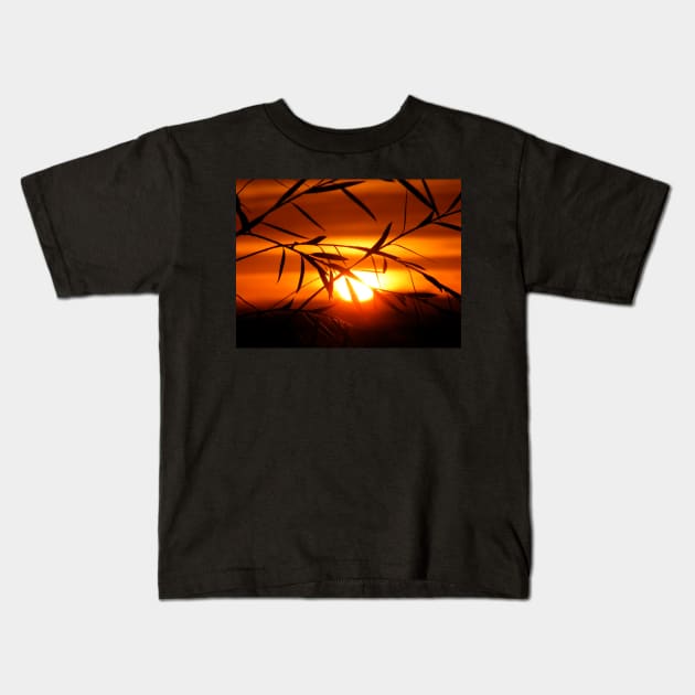 Sunrise Through Willow Kids T-Shirt by LockeNLore